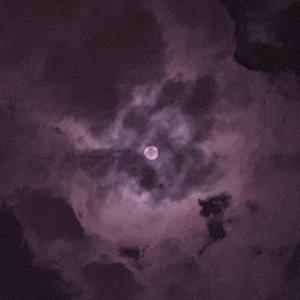 越南美女BBB真爽
